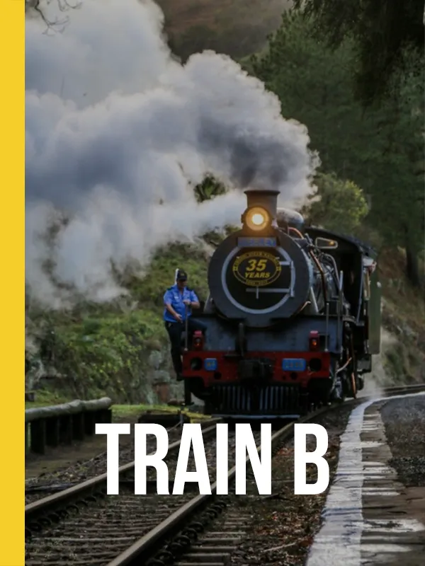 Umgeni Steam Railway Train B